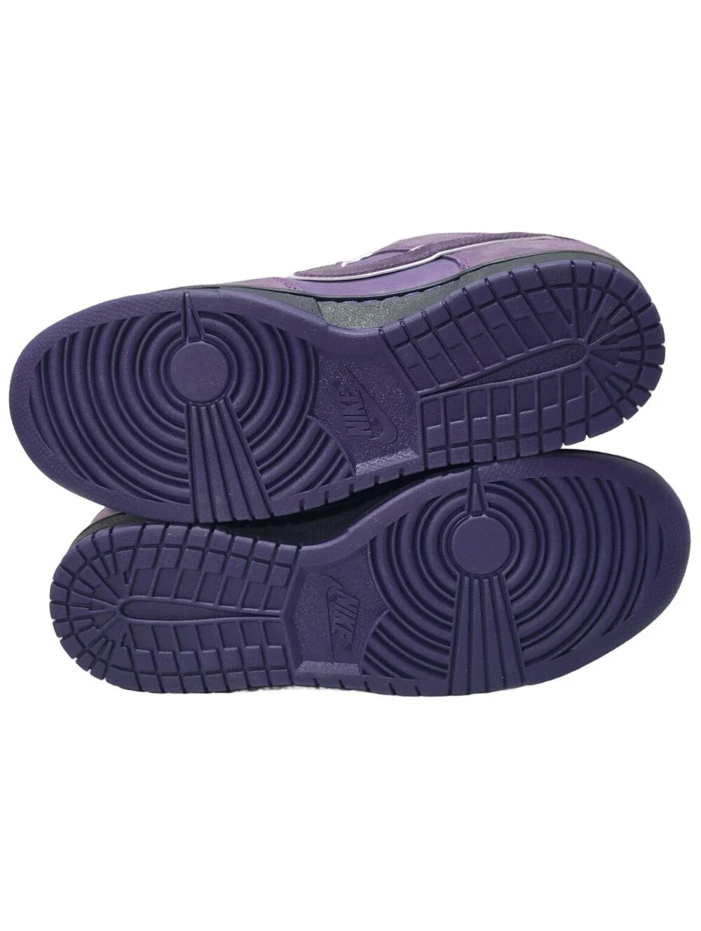 Nike SB Purple Lobster Concepts Insole Size 9
